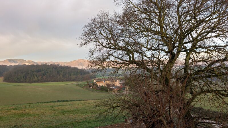 Paesaggio mugellano: querceto secolare, prato brinato, colline dell'Appennino